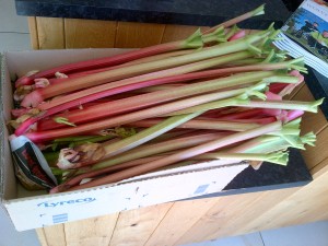 2 May 2013, Fresh pulled rhubarb from Norton £4.85 per kg